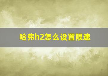 哈弗h2怎么设置限速