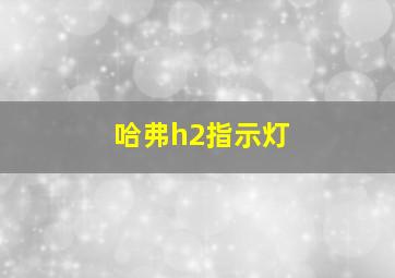 哈弗h2指示灯