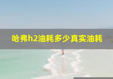 哈弗h2油耗多少真实油耗