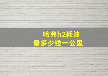 哈弗h2耗油量多少钱一公里