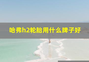 哈弗h2轮胎用什么牌子好