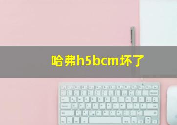 哈弗h5bcm坏了