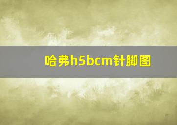 哈弗h5bcm针脚图