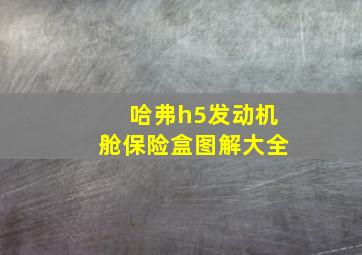 哈弗h5发动机舱保险盒图解大全