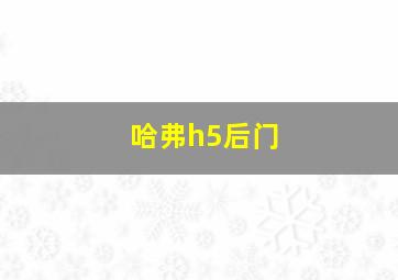 哈弗h5后门