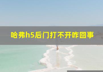 哈弗h5后门打不开咋回事