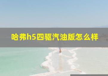 哈弗h5四驱汽油版怎么样