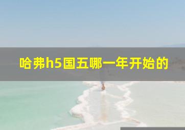 哈弗h5国五哪一年开始的