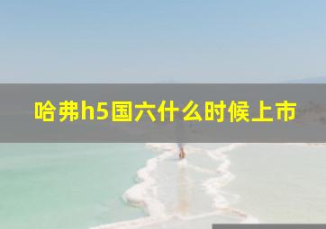 哈弗h5国六什么时候上市