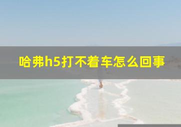 哈弗h5打不着车怎么回事