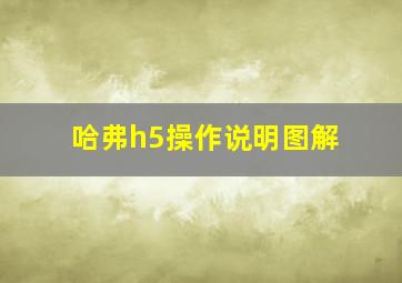 哈弗h5操作说明图解