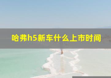 哈弗h5新车什么上市时间