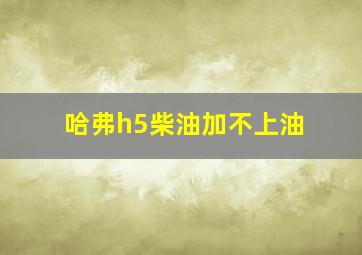 哈弗h5柴油加不上油