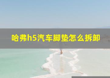 哈弗h5汽车脚垫怎么拆卸