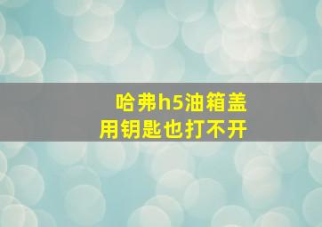 哈弗h5油箱盖用钥匙也打不开