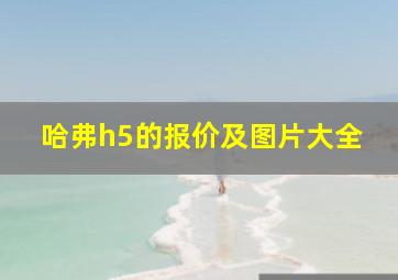 哈弗h5的报价及图片大全