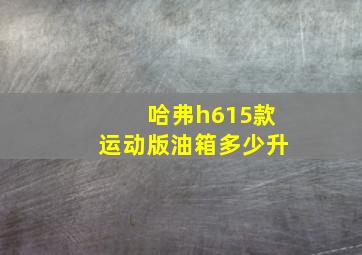 哈弗h615款运动版油箱多少升