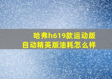 哈弗h619款运动版自动精英版油耗怎么样