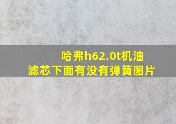 哈弗h62.0t机油滤芯下面有没有弹簧图片