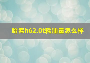 哈弗h62.0t耗油量怎么样