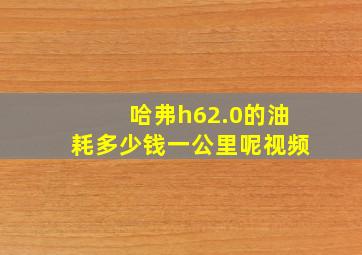 哈弗h62.0的油耗多少钱一公里呢视频