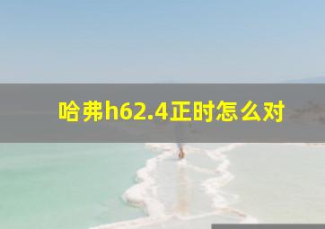 哈弗h62.4正时怎么对