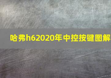 哈弗h62020年中控按键图解