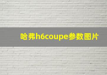 哈弗h6coupe参数图片