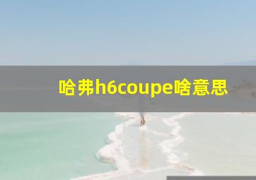 哈弗h6coupe啥意思