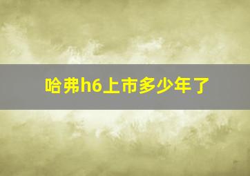 哈弗h6上市多少年了