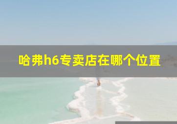 哈弗h6专卖店在哪个位置