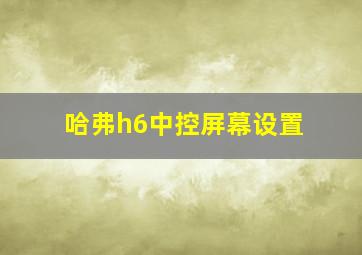 哈弗h6中控屏幕设置