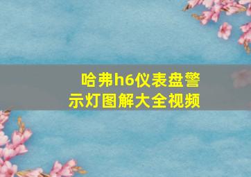 哈弗h6仪表盘警示灯图解大全视频