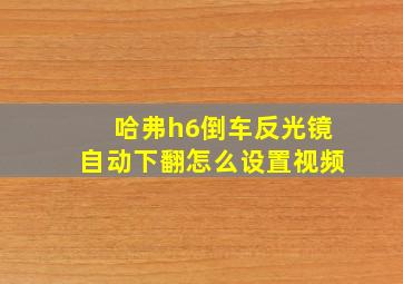 哈弗h6倒车反光镜自动下翻怎么设置视频