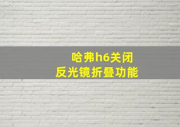 哈弗h6关闭反光镜折叠功能