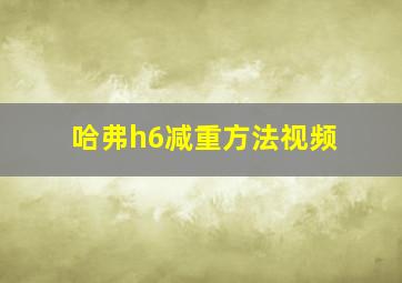 哈弗h6减重方法视频