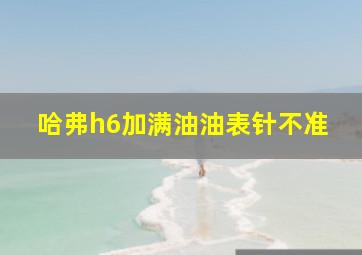 哈弗h6加满油油表针不准