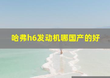 哈弗h6发动机哪国产的好