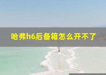 哈弗h6后备箱怎么开不了