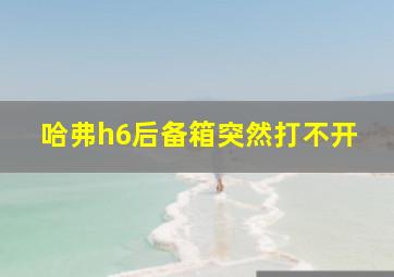 哈弗h6后备箱突然打不开