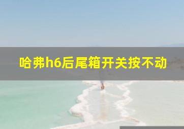 哈弗h6后尾箱开关按不动