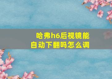 哈弗h6后视镜能自动下翻吗怎么调