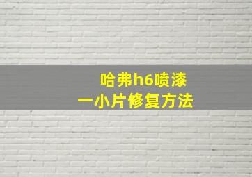 哈弗h6喷漆一小片修复方法