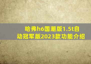 哈弗h6国潮版1.5t自动冠军版2023款功能介绍