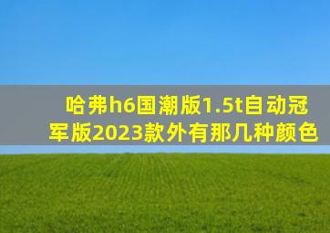 哈弗h6国潮版1.5t自动冠军版2023款外有那几种颜色