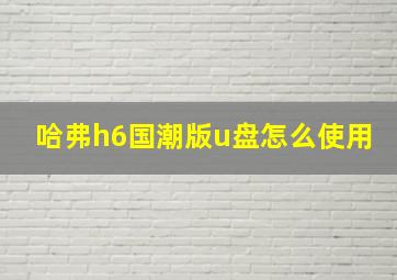 哈弗h6国潮版u盘怎么使用