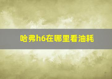 哈弗h6在哪里看油耗