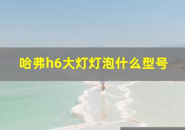 哈弗h6大灯灯泡什么型号