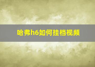 哈弗h6如何挂档视频