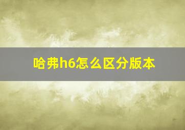 哈弗h6怎么区分版本